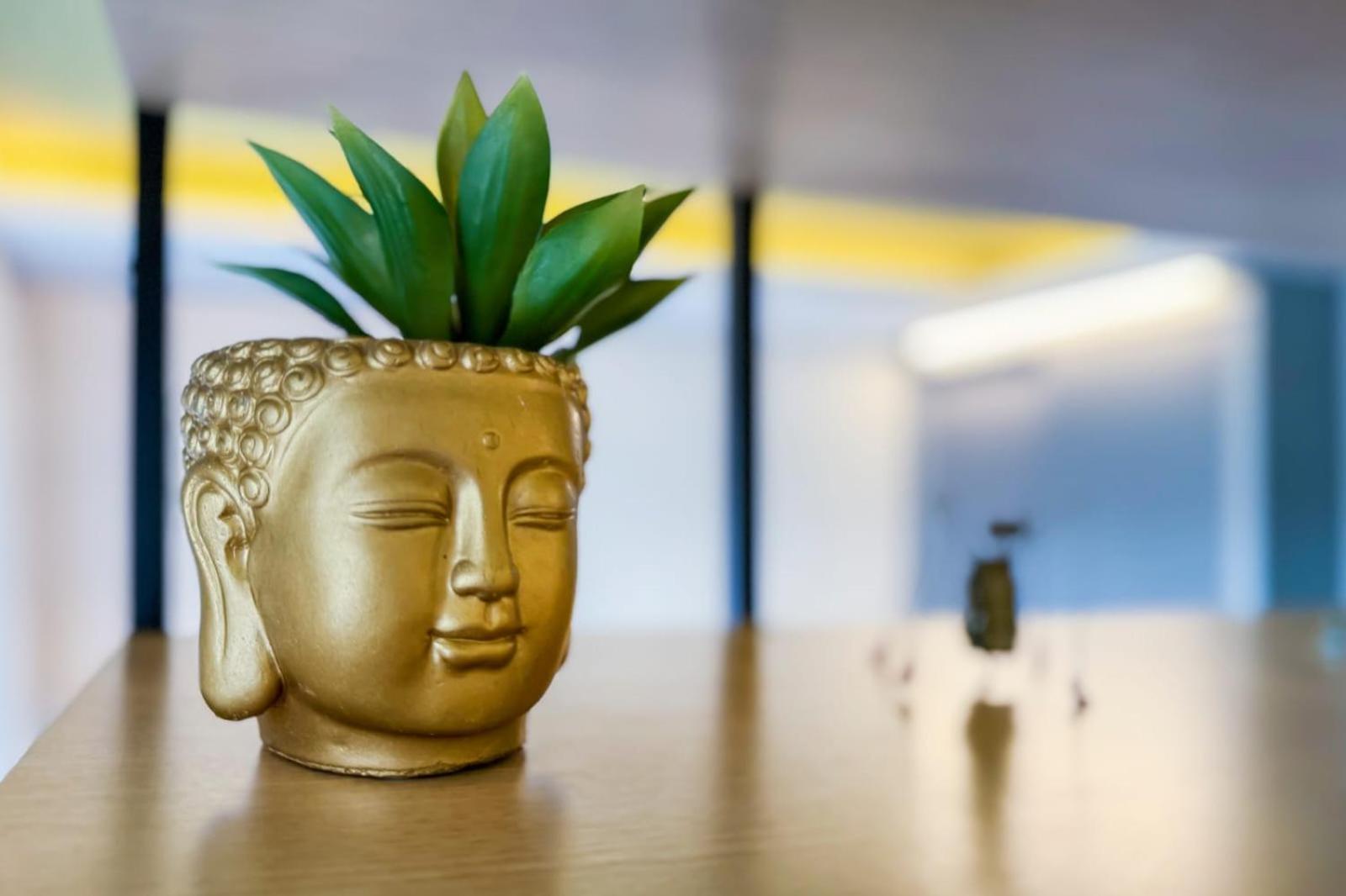 Apartamento Novissimo, Completo E Muito Bem Localizado São Paulo