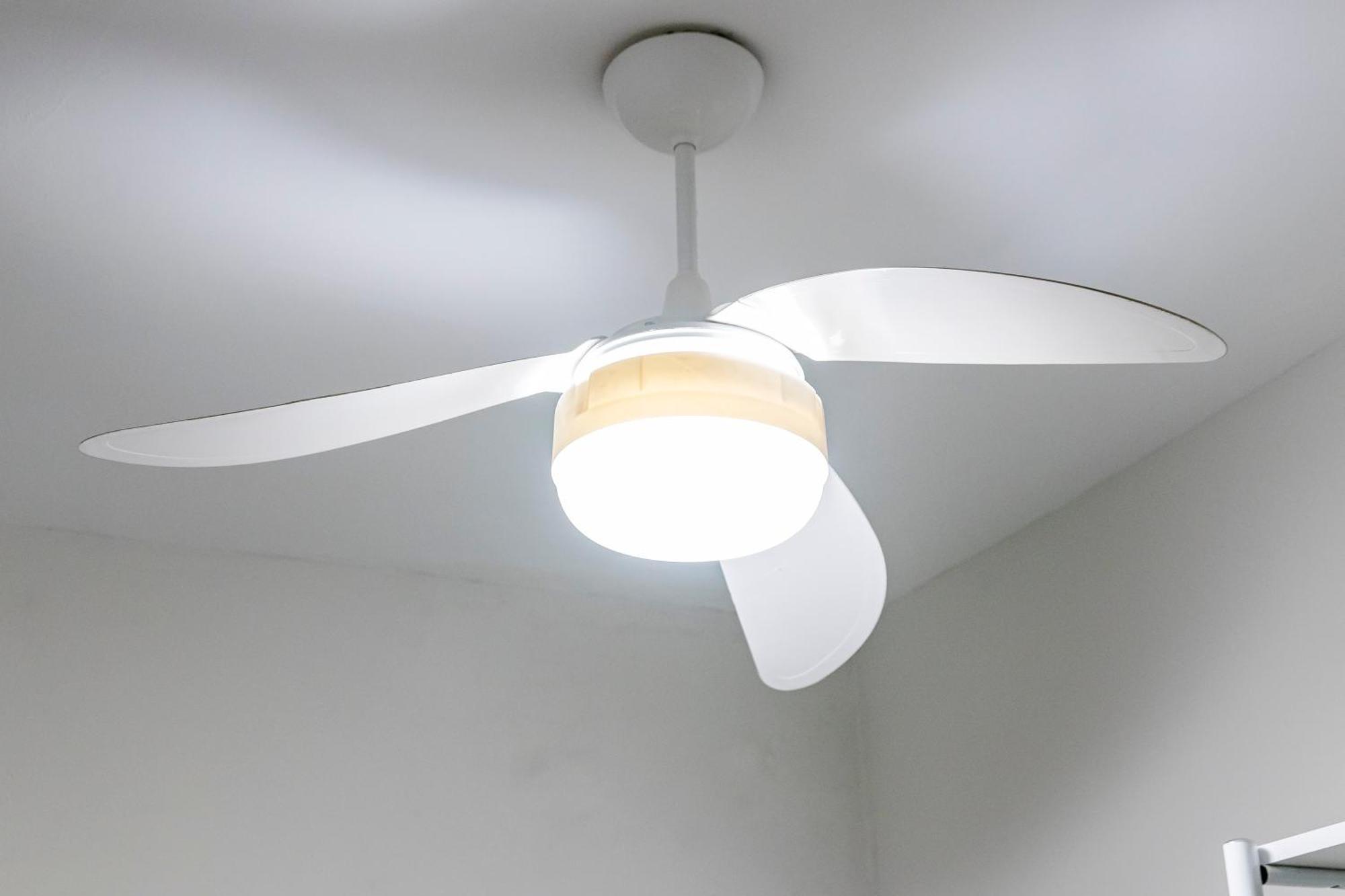 Domus Garden - Hostel, E Coliving Hostel *
