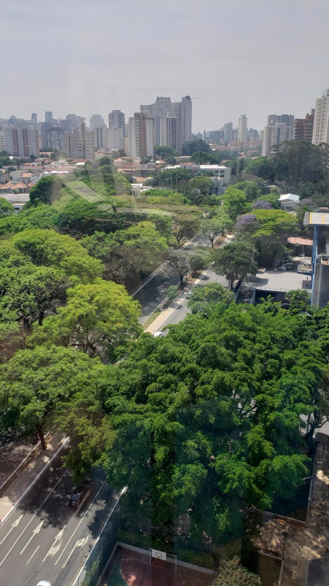 Bienal Flat *