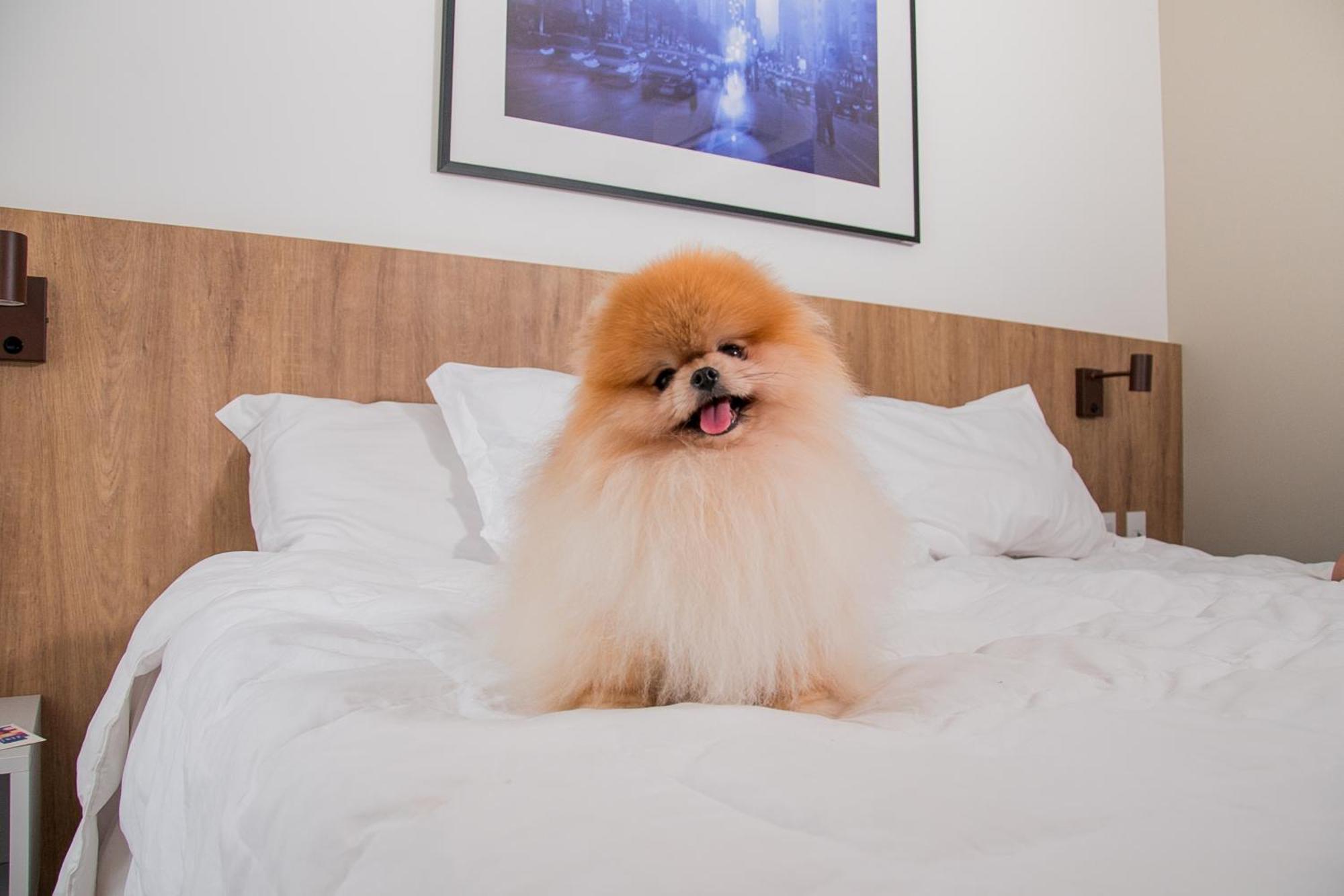 Tryp By Wyndham Paulista Paraiso 4*