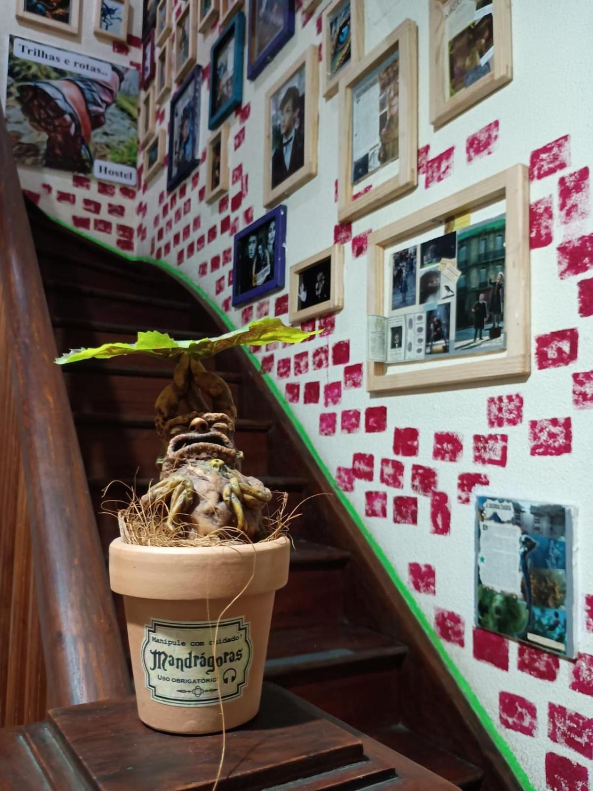Trilhas E Rotas - A 150m Da Avenida Paulista Hostel *