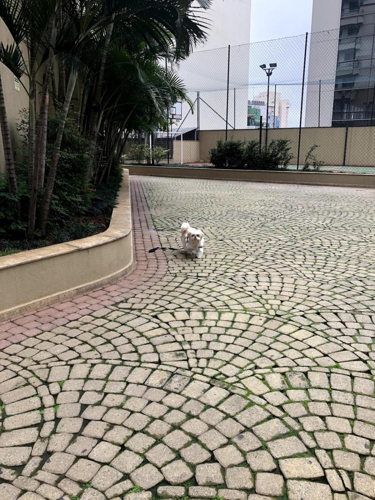 Căn hộ 2 Quartos Proximo A Av Paulista E Metro Bc02 *