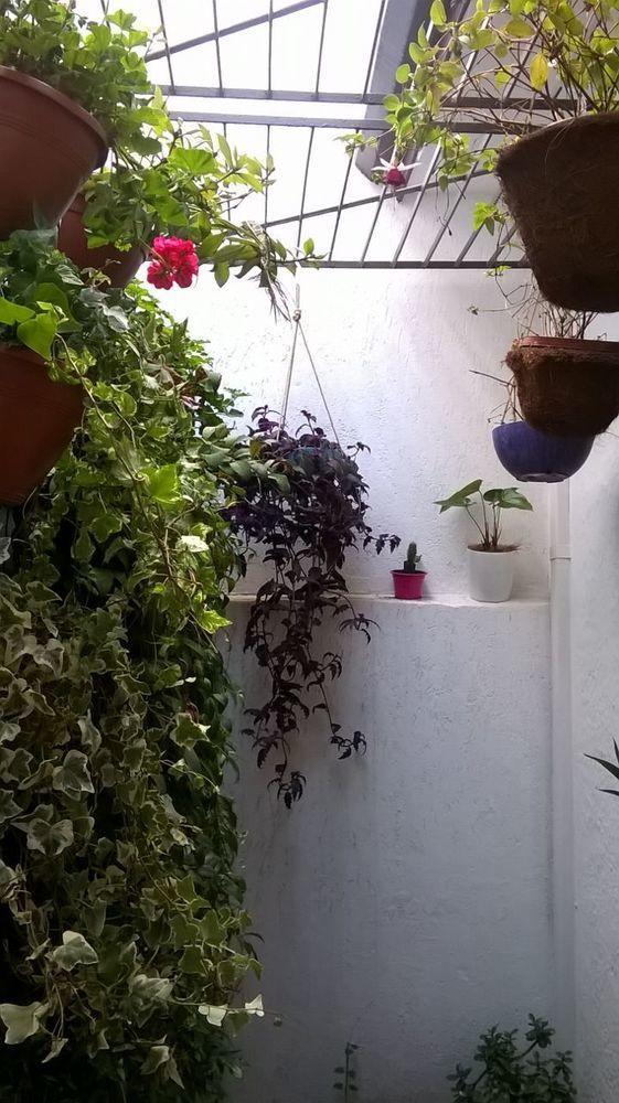 Hostel Flor De Maria
