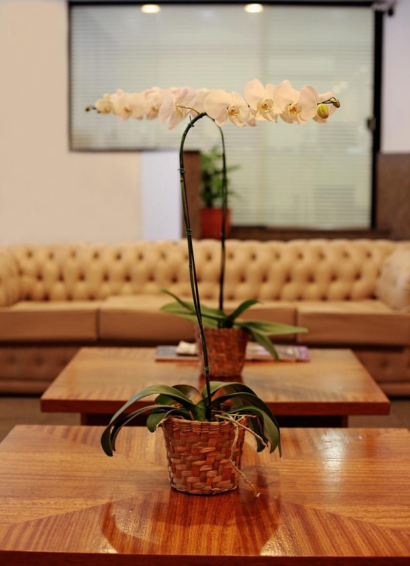 Hotel Sj Business - San Juan 3*