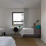 Centro 433