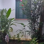 Hub Urbano E Natureza