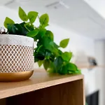 Prime 23 Loft Id Lisboa Vila Mariana By Oba
