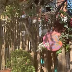 Espaco Colaborativo Coexistir