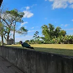 Sitio Santa Filomena - Sao Roque
