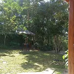 Container Na Mata Atlantica
