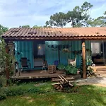 Container Na Mata Atlantica