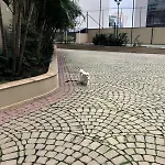 Apartamento 2 Quartos Proximo A Av Paulista E Metro Bc02