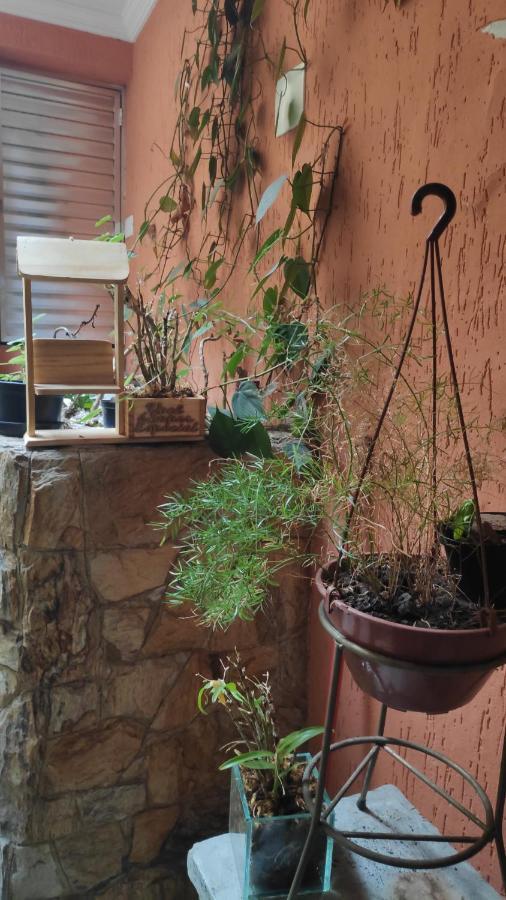 Fuji Homestay Sao Paulo