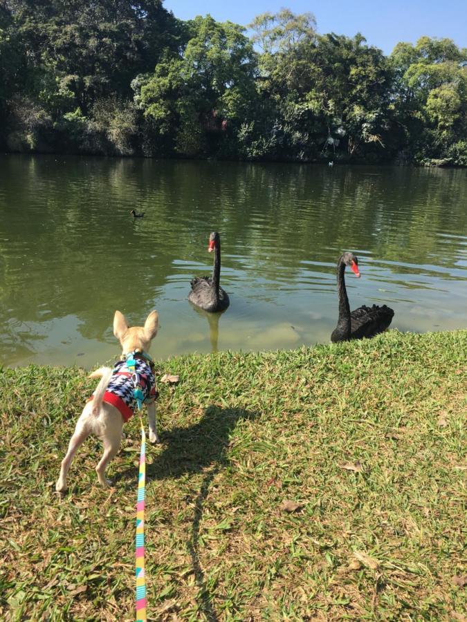 Ibirapuera Royal Park Căn hộ