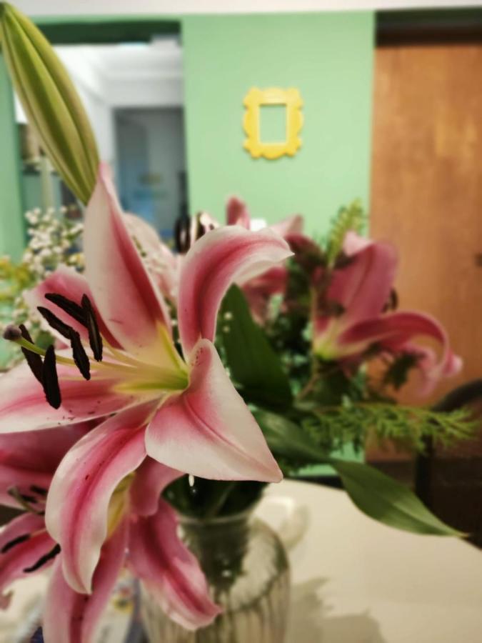 Guest house 373 - Mariana - Valores Acessiveis *