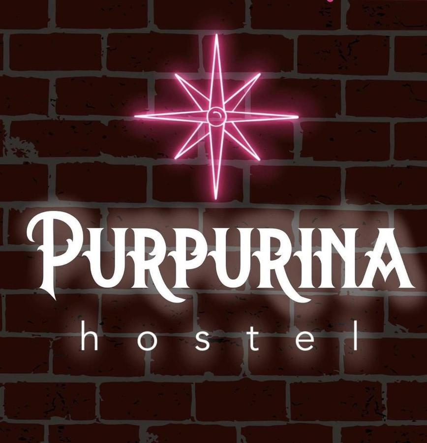 Hostel Vila Madalena Purpurina Hostel Sao Paulo