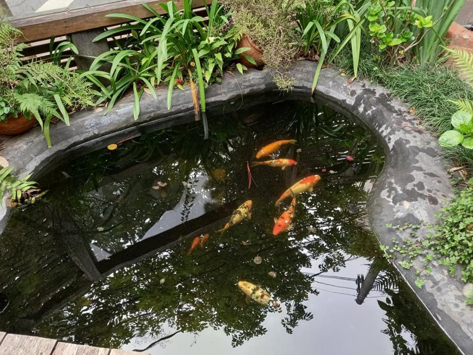 Inn Zilah Sao Paulo