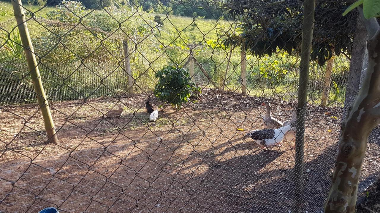 Sitio Santa Filomena - Sao Roque São Paulo
