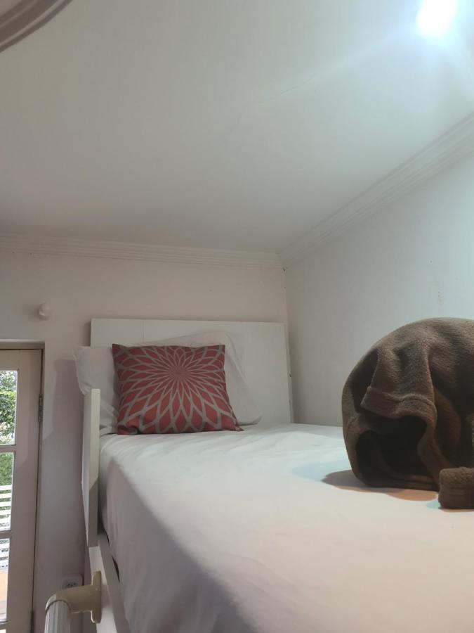 Sp - Proximo Ao Allianz Parque E Paulista Hostel
