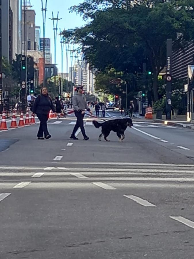 Trilhas E Rotas - A 150m Da Avenida Paulista *
