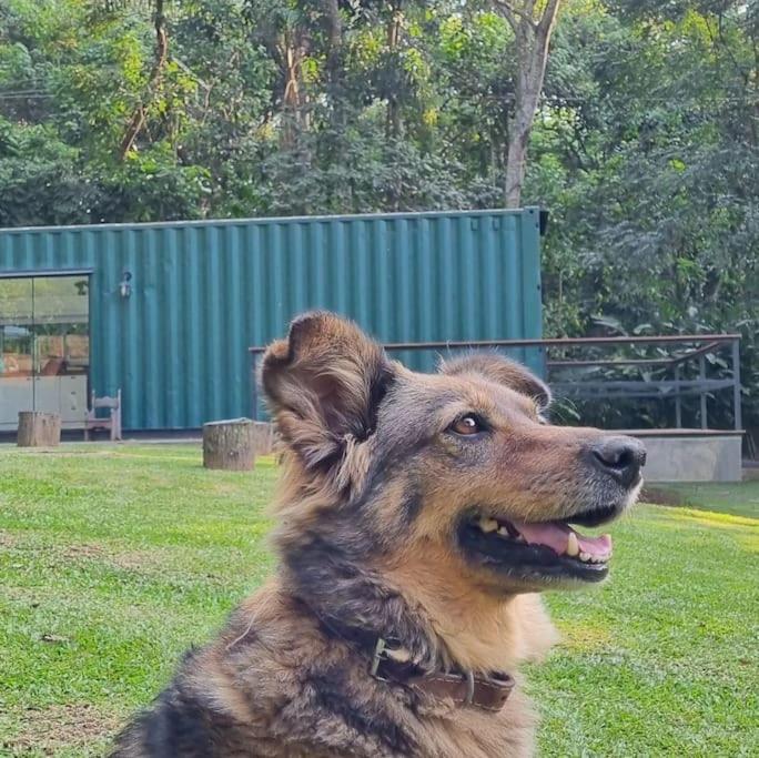 Casa Container Na Represa De Guarapiranga! Sonho! *