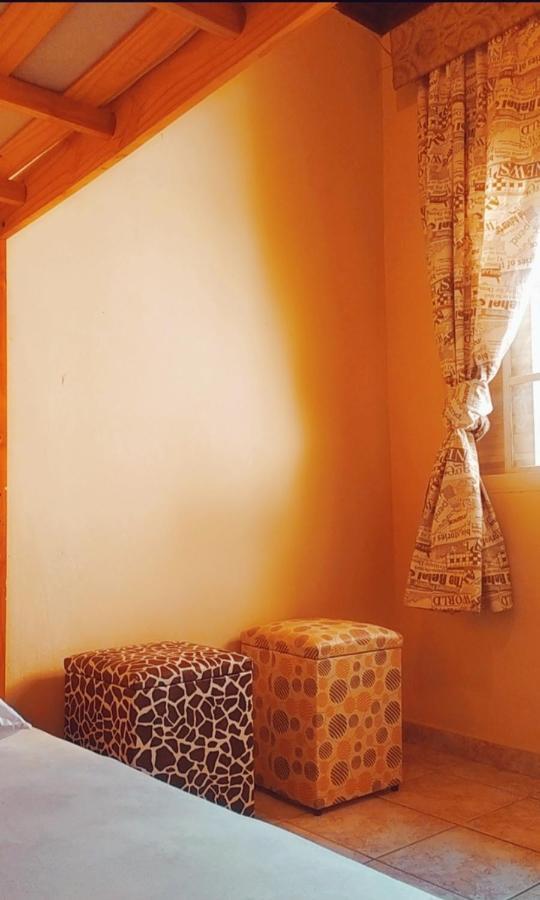 Albergue Conexao Sp