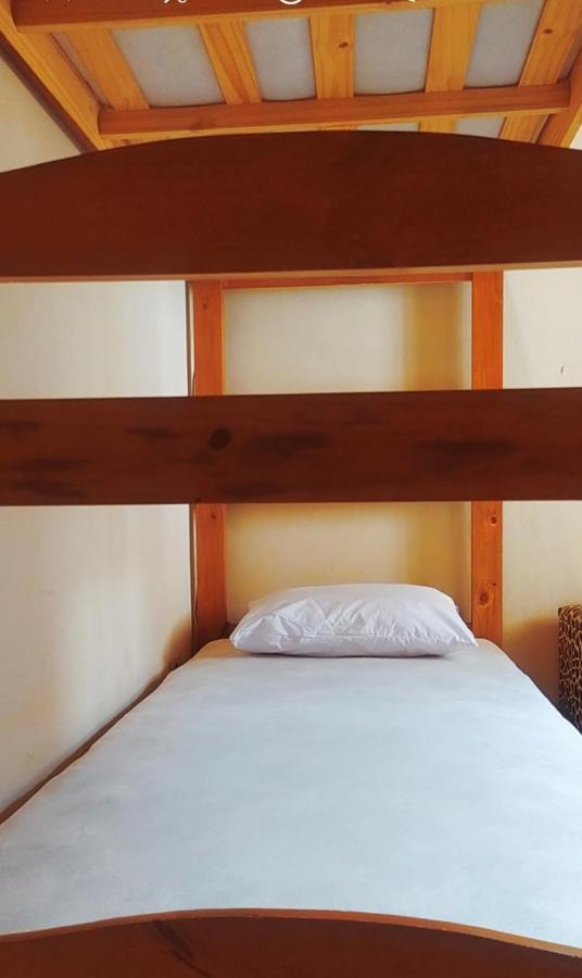 Conexao Sp Albergue *