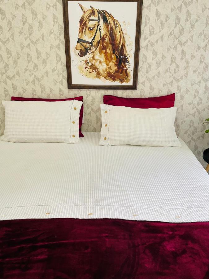 Homestay Sergio Gomes A Casa Que Hospeda Sao Paulo