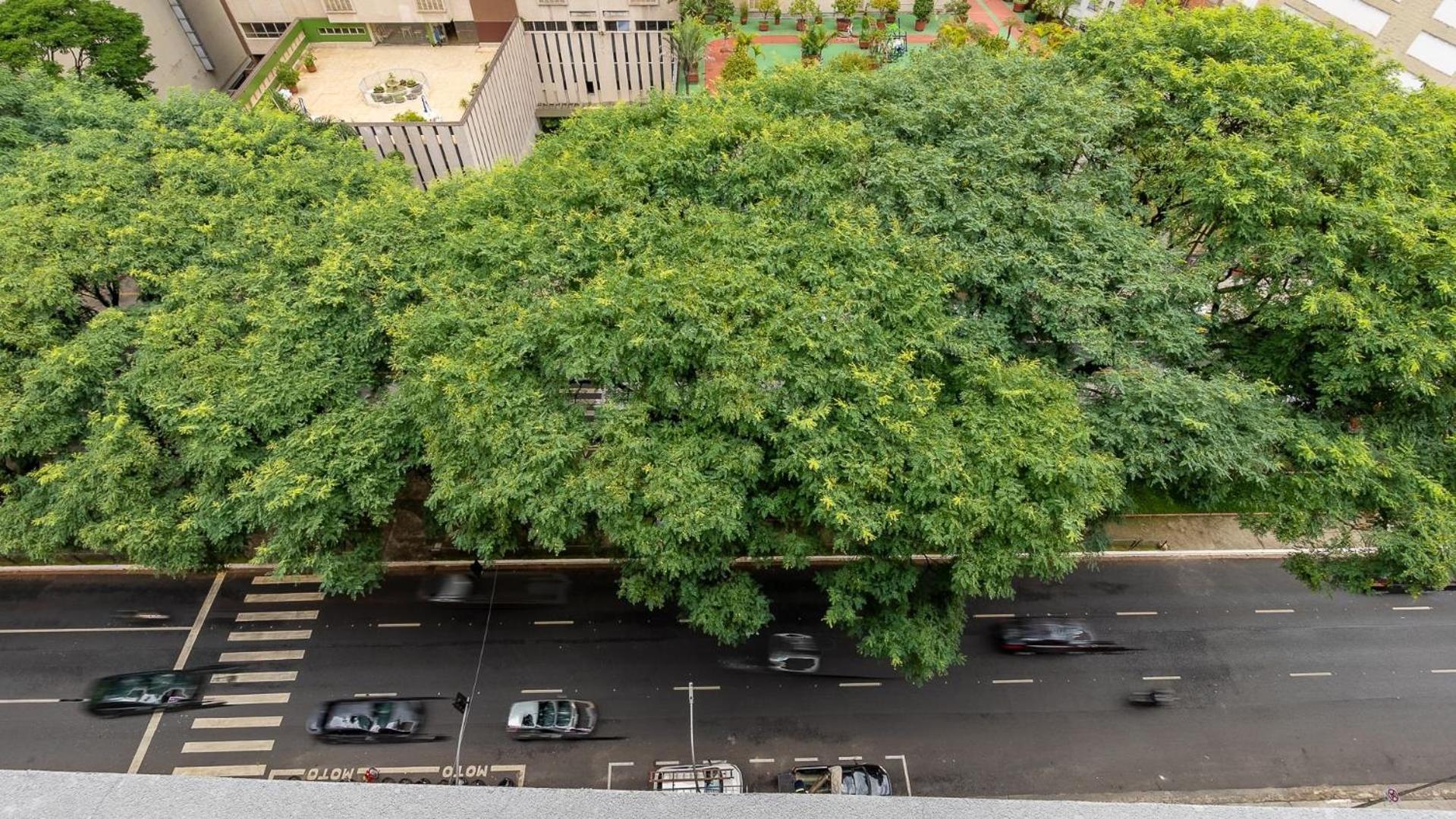 Maravilhosos Com Cinema Privativo Ao Lado Do Metro Mackenzie Tatil Evi Sao Paulo