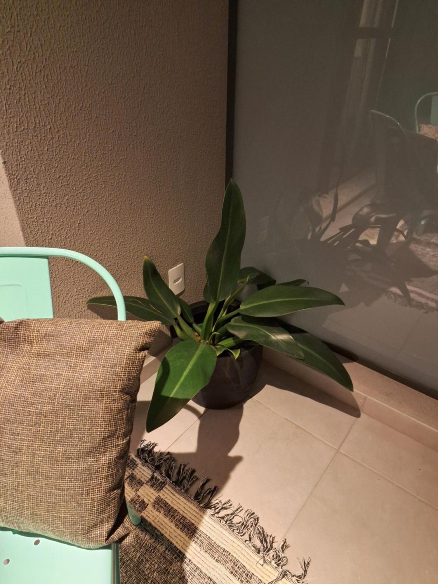 Cafofinho Decor Apartment São Paulo