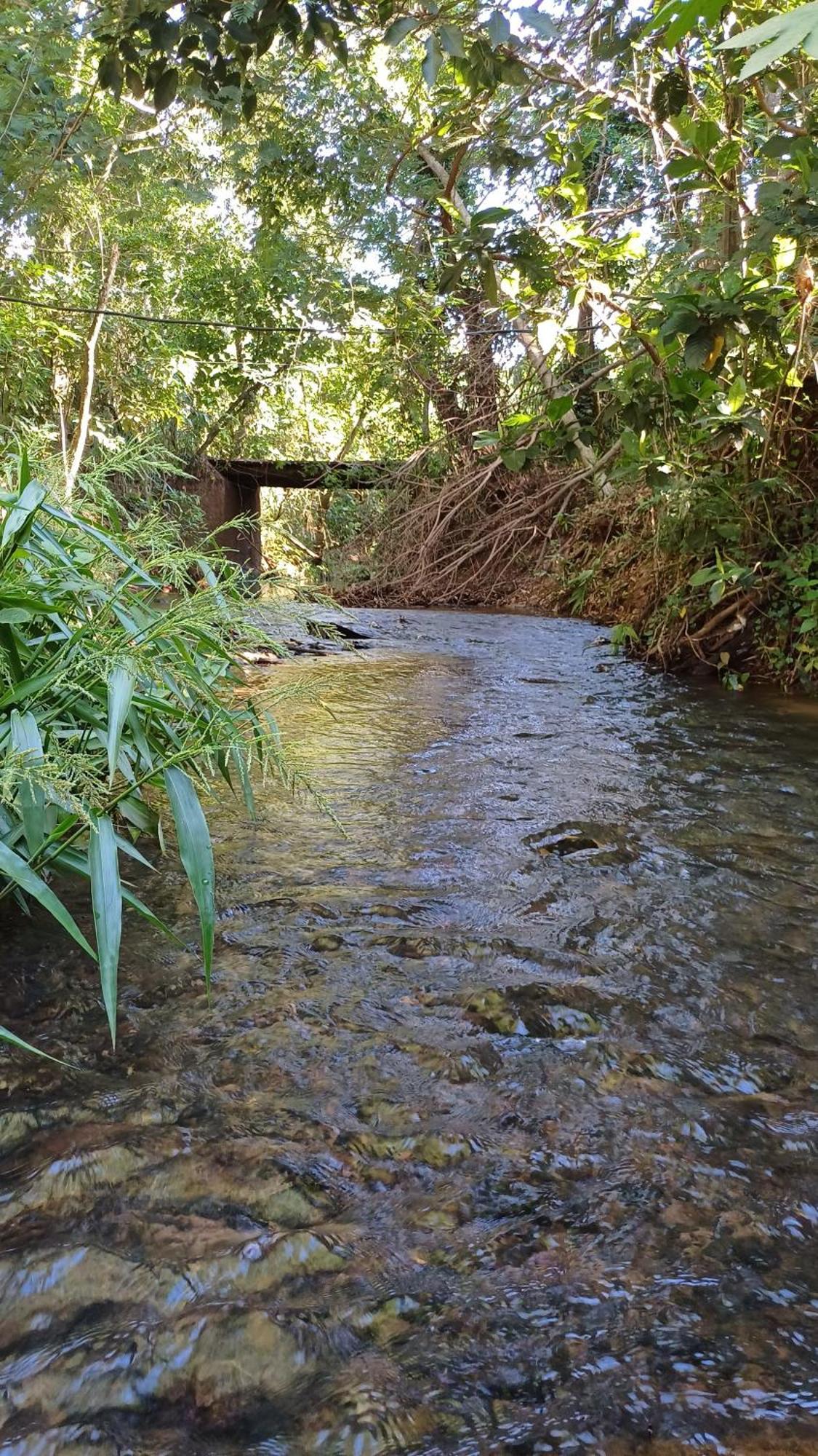 Tatil Evi Sitio Encontro Aguas Brotas Sao Paulo
