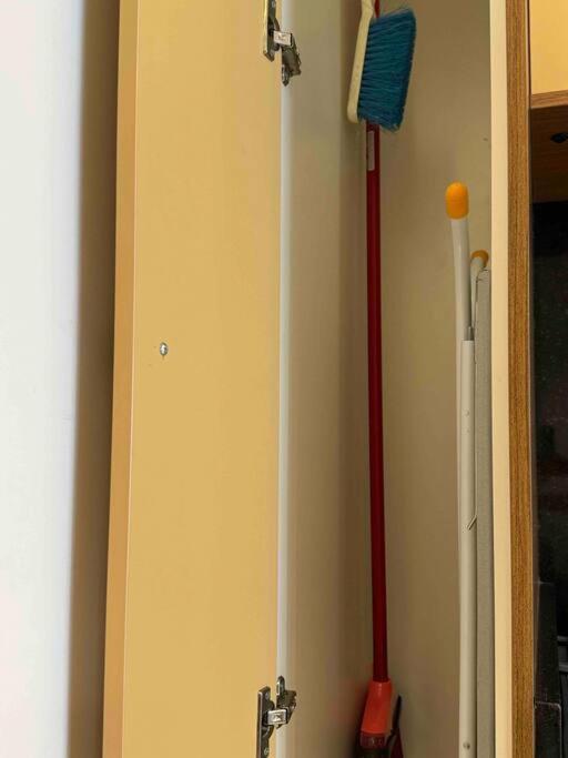 Apartment Apto Novo No Centro De C/garagem