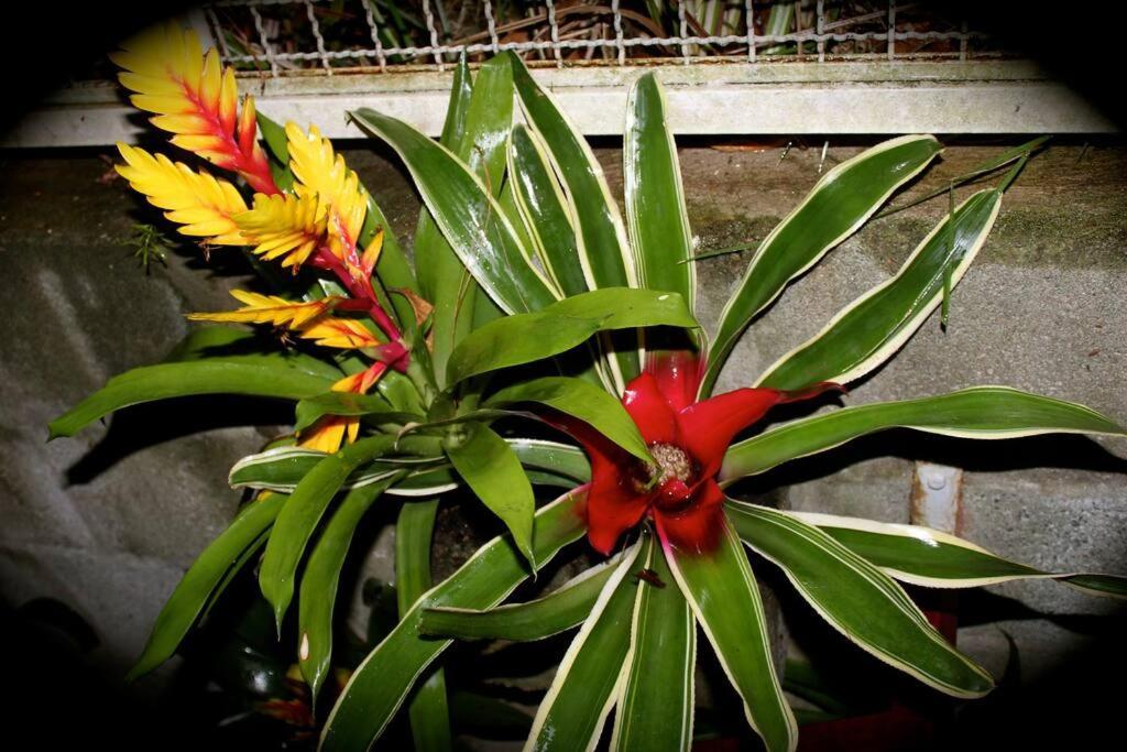 Sparadise A Natureza Em Harmonia Com Tecnologia * Sao Paulo