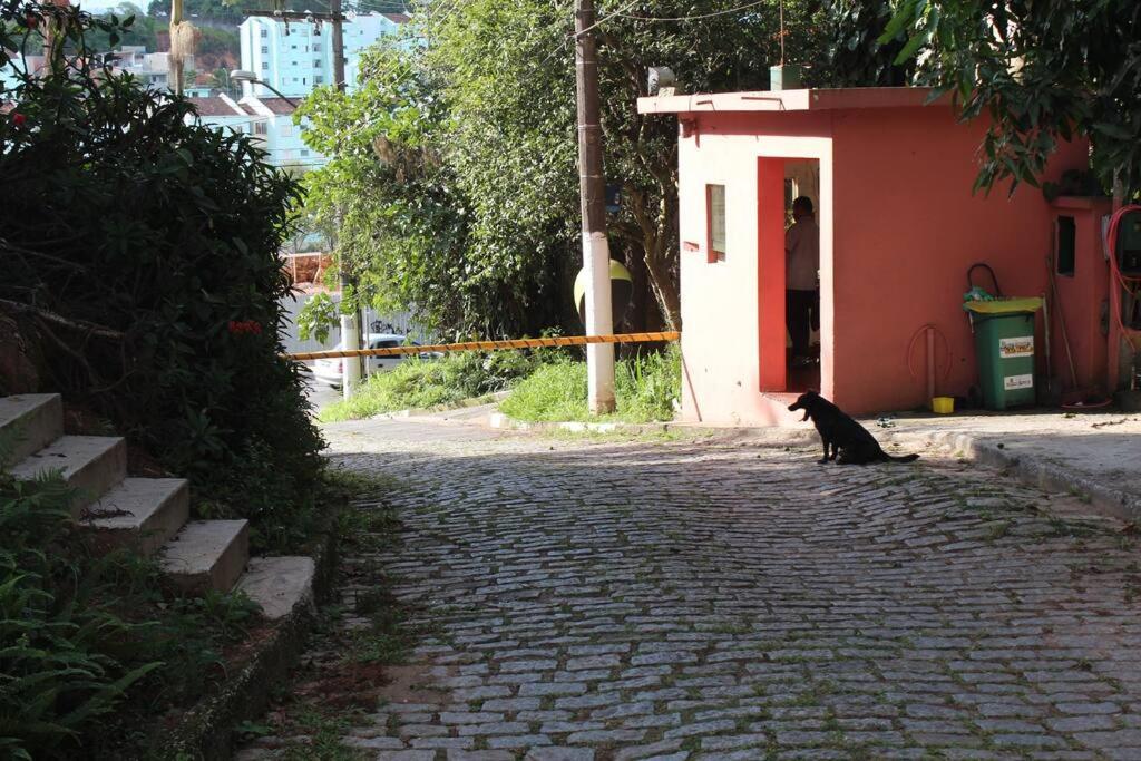 Sparadise A Natureza Em Harmonia Com Tecnologia Sao Paulo