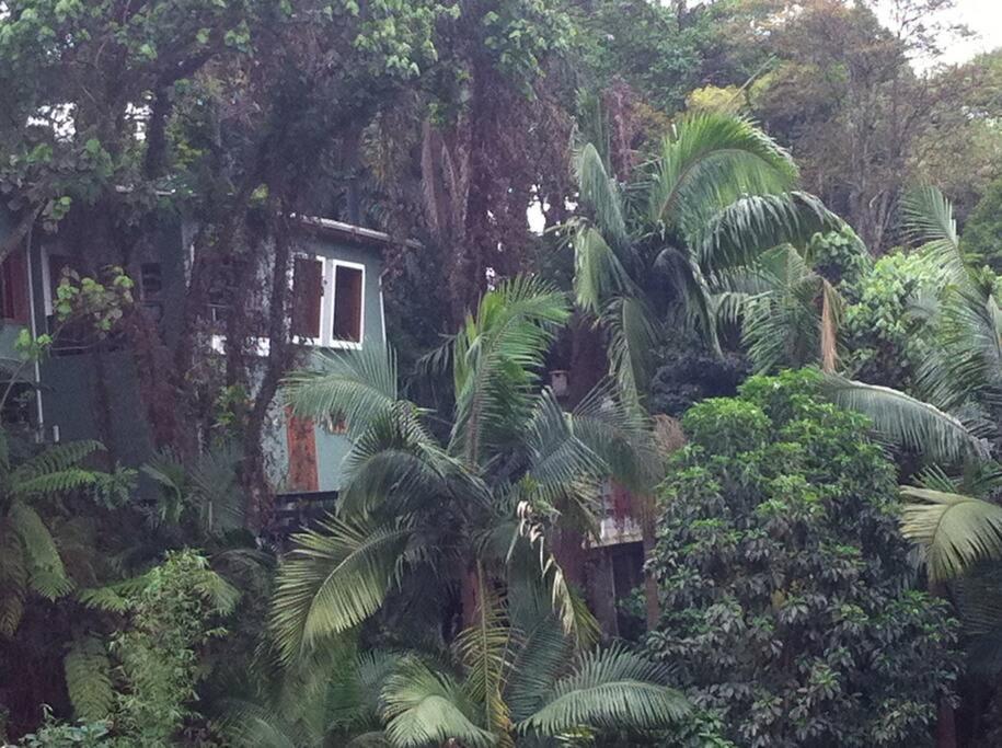 Sparadise A Natureza Em Harmonia Com Tecnologia Villa Sao Paulo