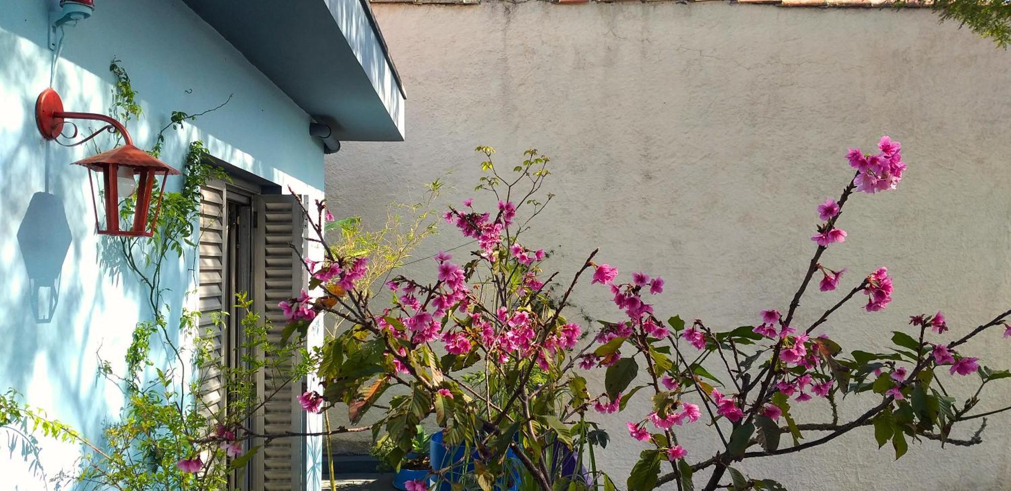 Micasa - Congonhas Hostel *