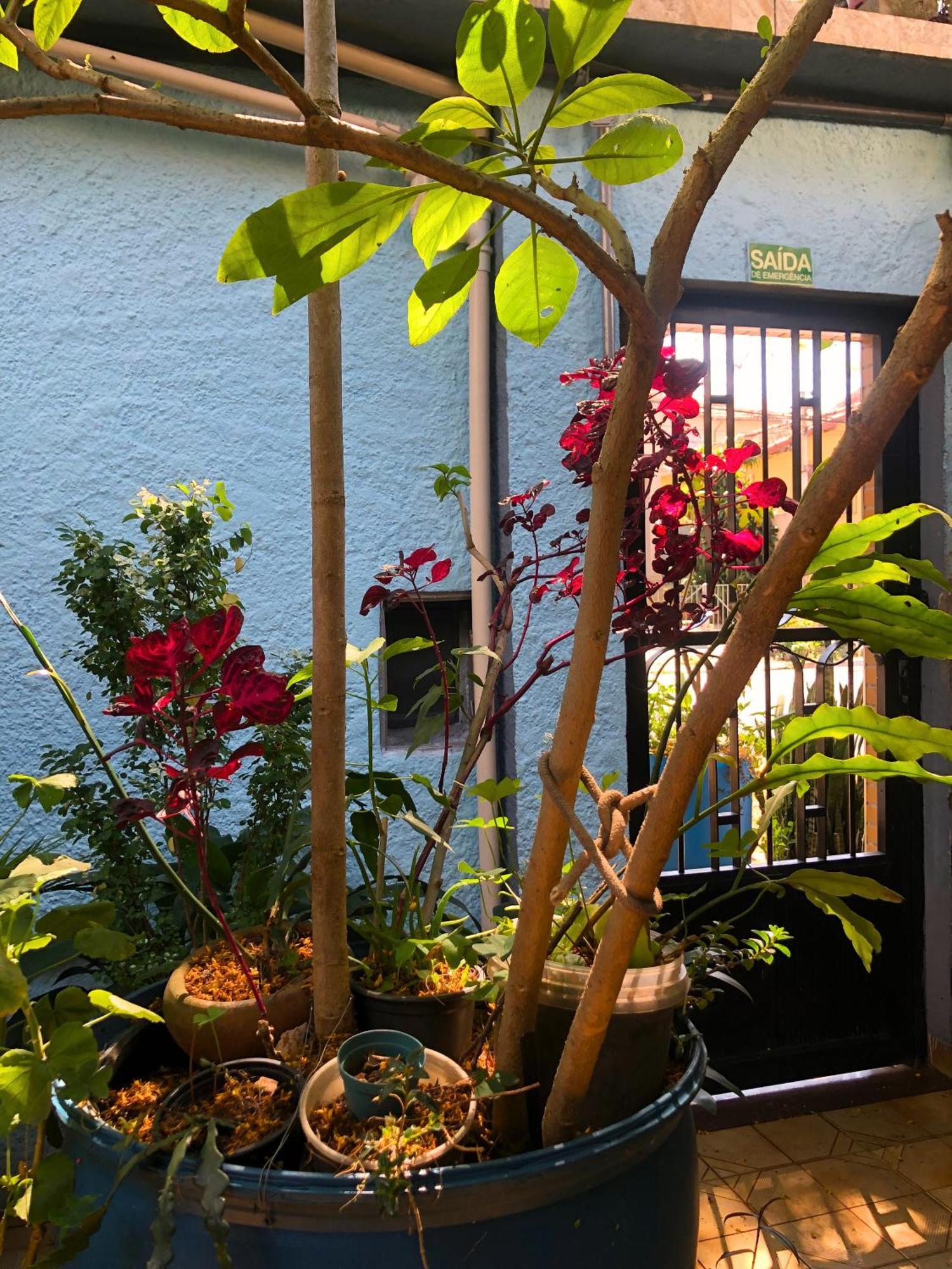 Micasa - Congonhas Hostel