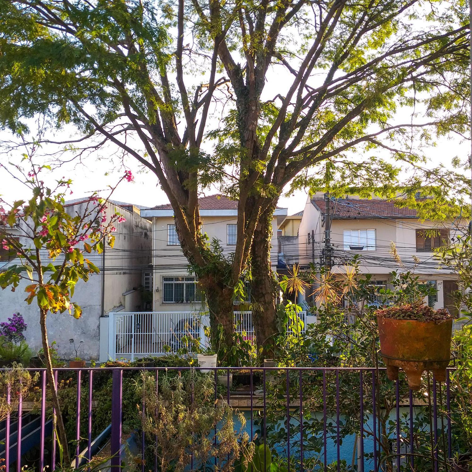 Hostel Micasa - Congonhas