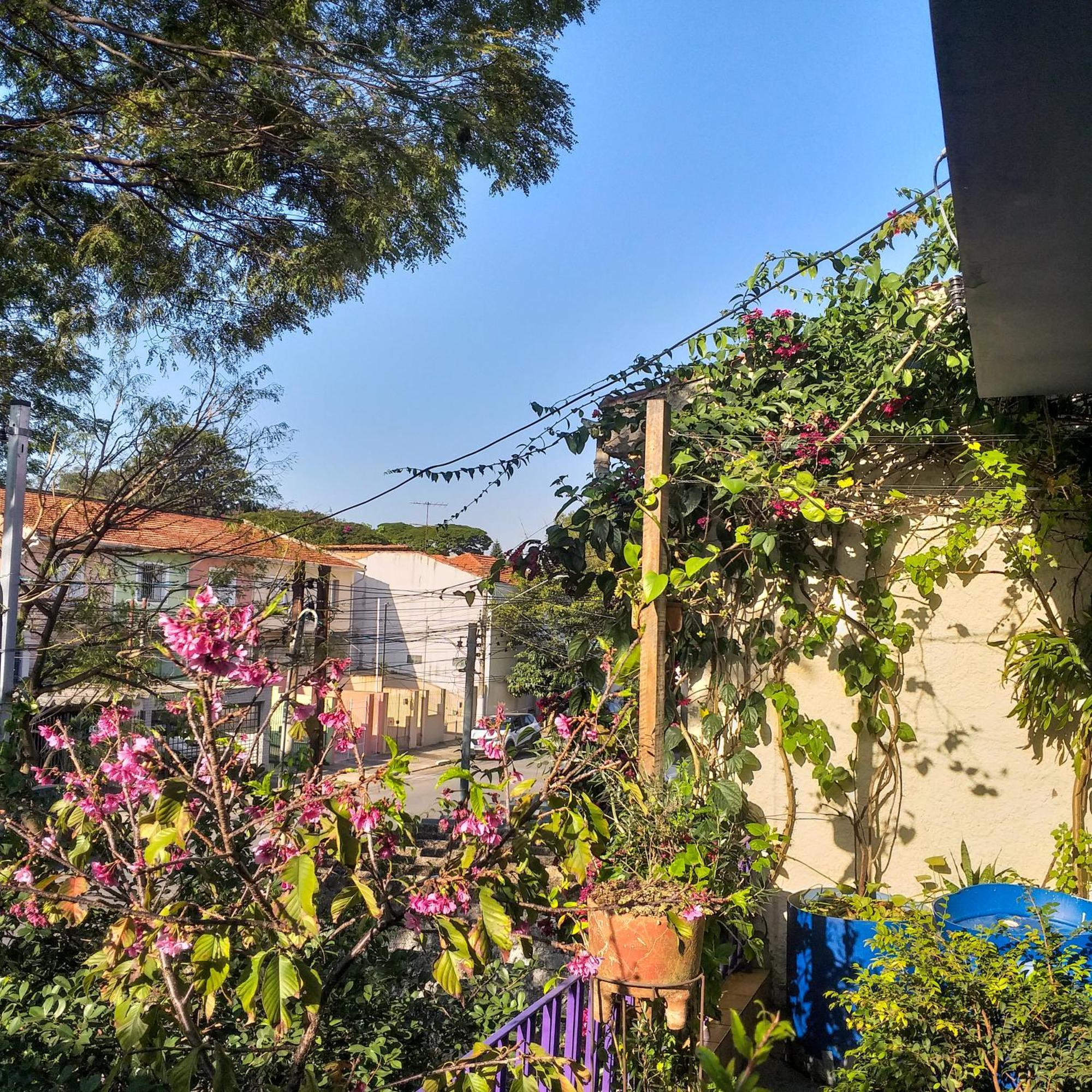 Hostel Micasa - Congonhas Sao Paulo