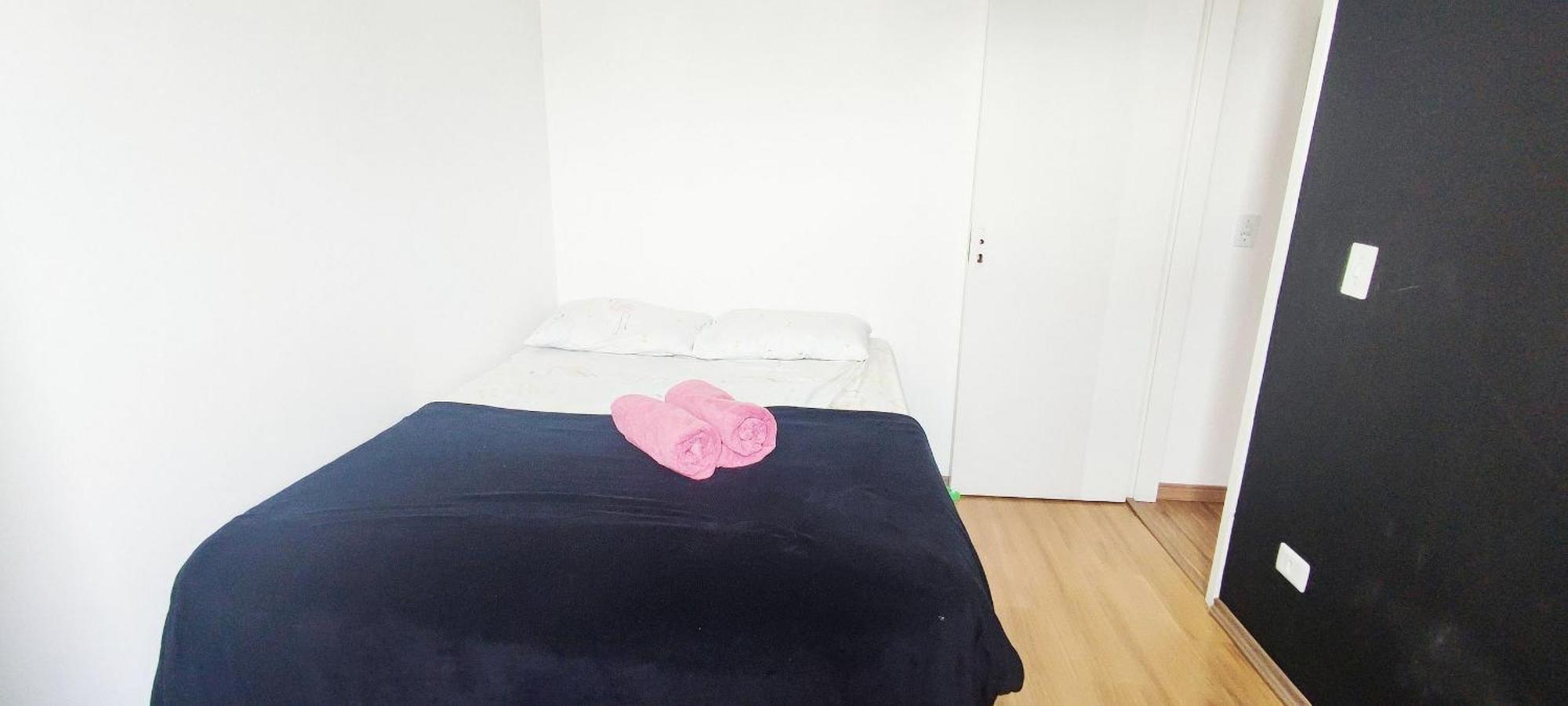 Apartamento Faca A Pe, 200m Metro Luz, Wi-fi 240mb, 44m São Paulo