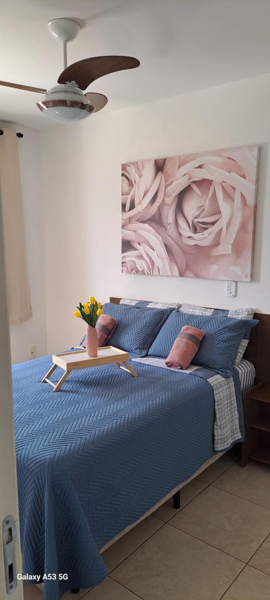 Tulipa Sao Paulo