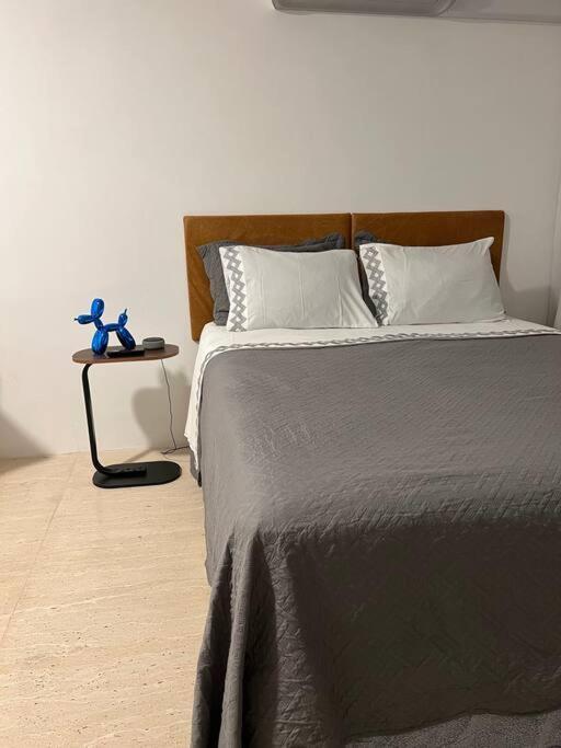 Apt. Novo Em Jardim Apartment *