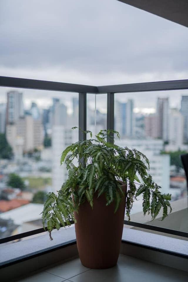 Bhomy Brooklin Proximo Metro Campo Belo Vn1403 Apartamento São Paulo