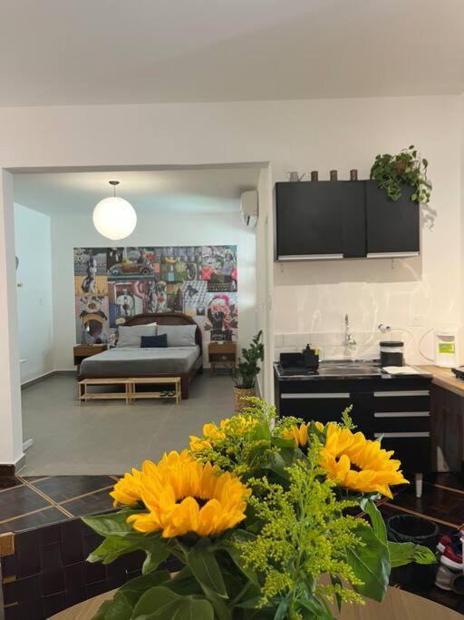 Em Casa Ao Lado Do Parque. Casa 03. Apartamento São Paulo