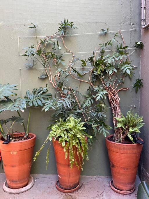 Apartamento Em Casa Ao Lado Do Parque. Casa 03. *