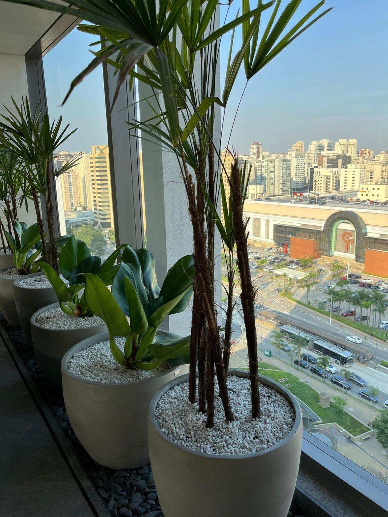 Sofisticado Apto Moema Piscina Com Vista 360° Daire Sao Paulo