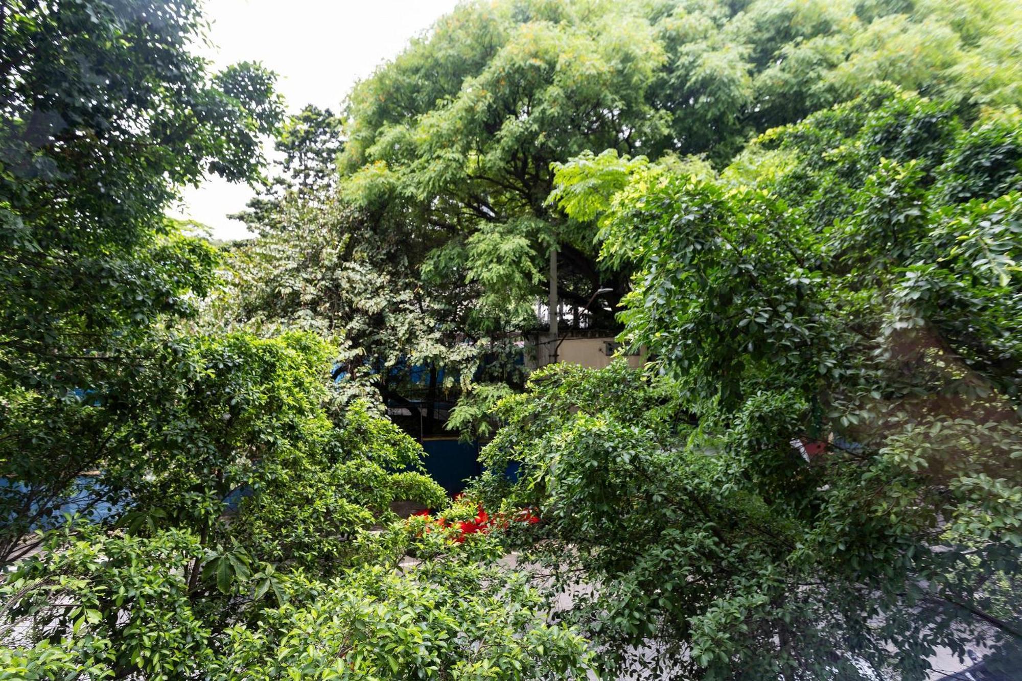 Boulevard Ibirapuera