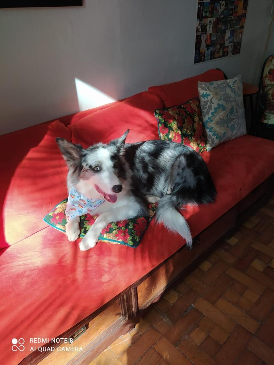 Konukevi Acca Mariana 3*