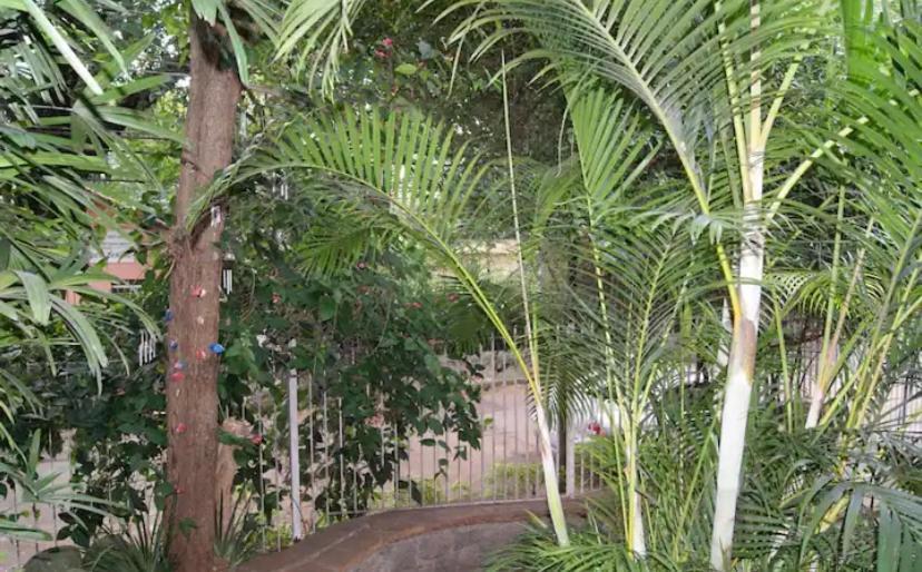 No Bairro Sumare Sao Paulo