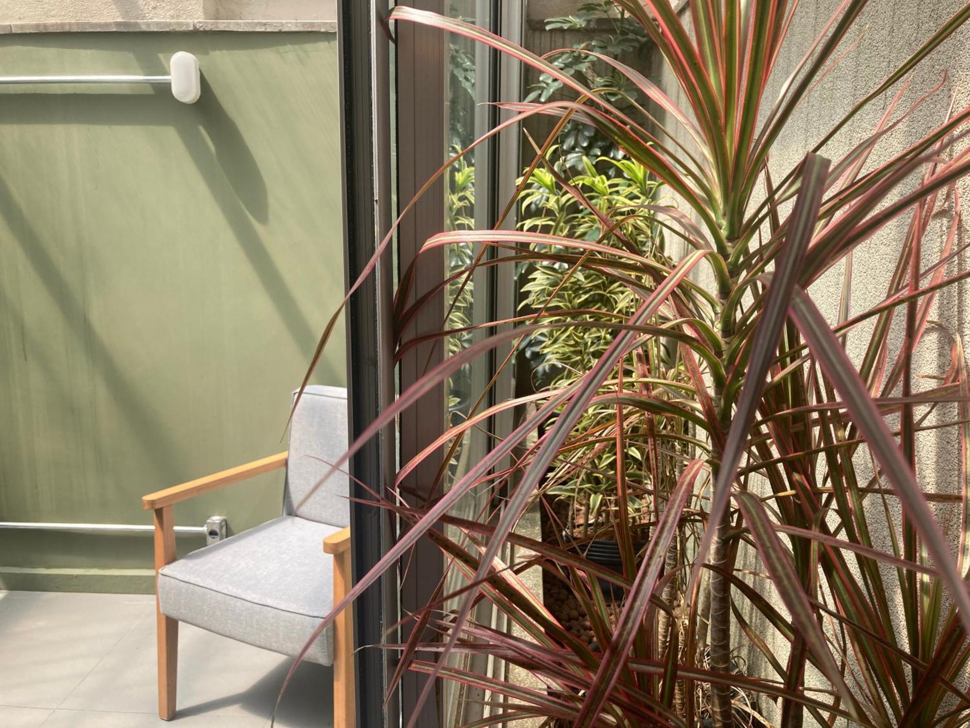 Alice Thome Apartment *